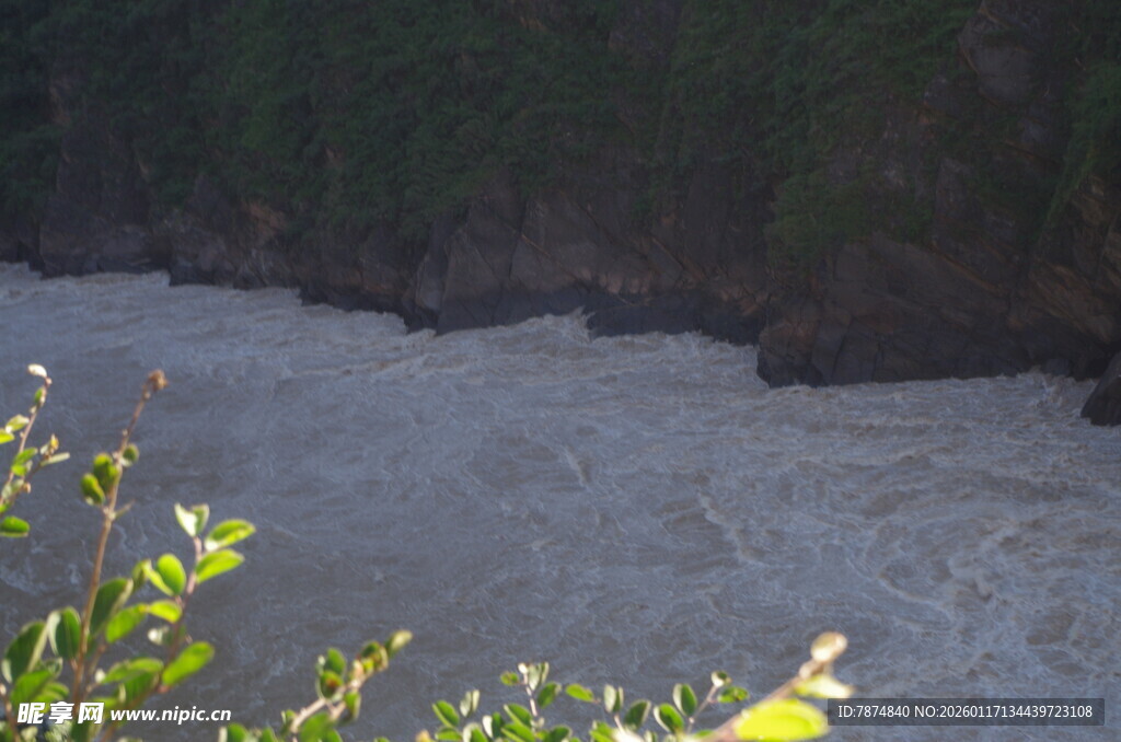 河边绿植与湍急水流景观