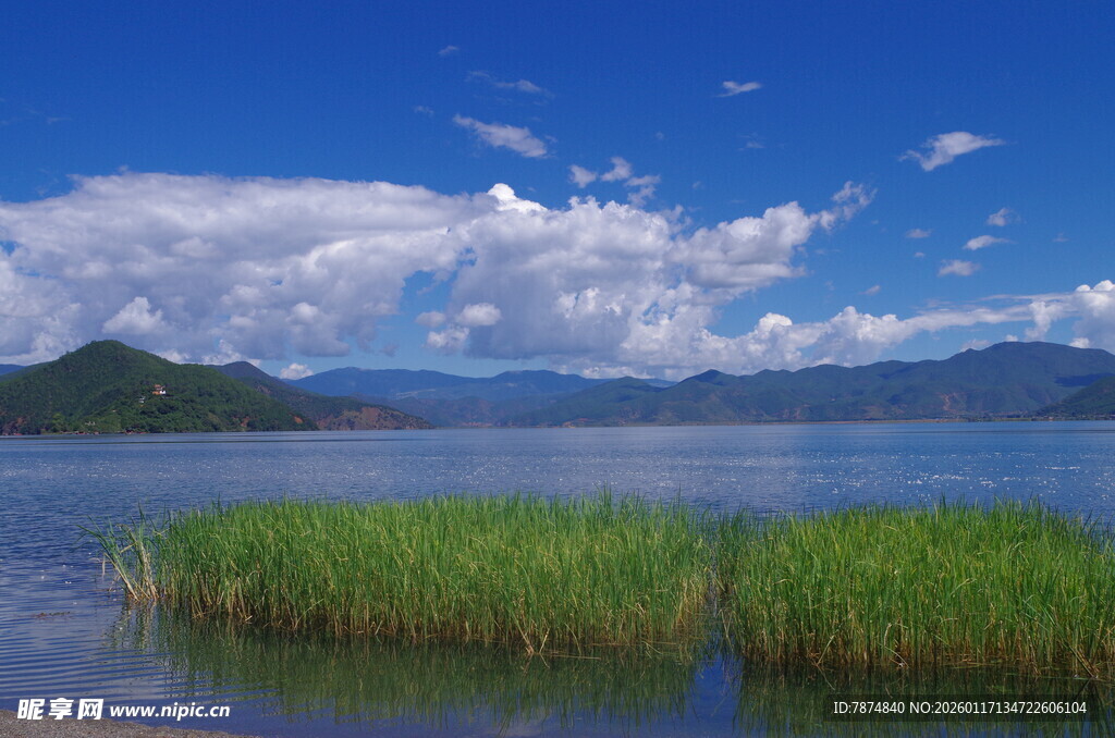 湖畔美景 水草蓝天相映衬