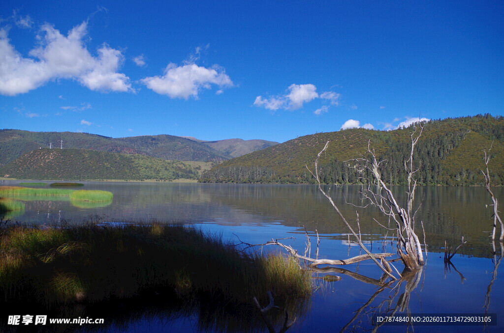 湖畔枯木与青山蓝天美景