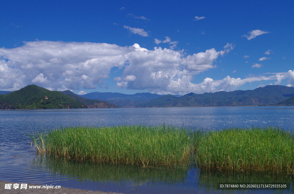 湖畔美景 水草蓝天相衬