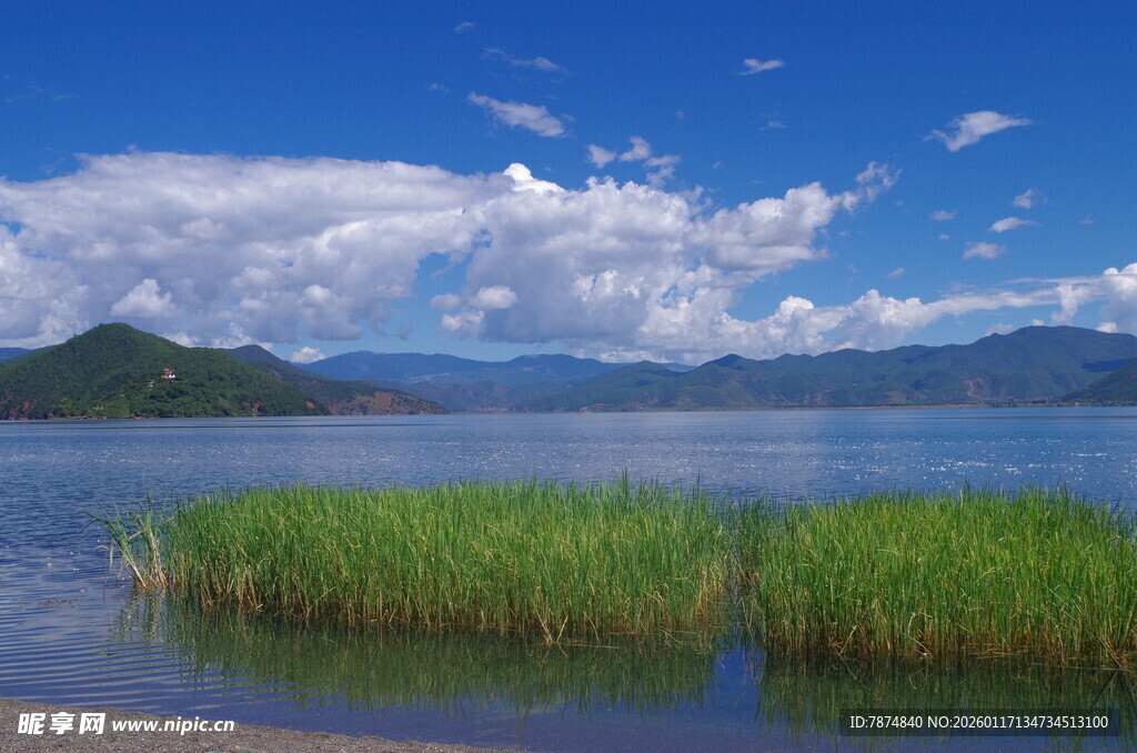 湖畔水草蓝天美景如画