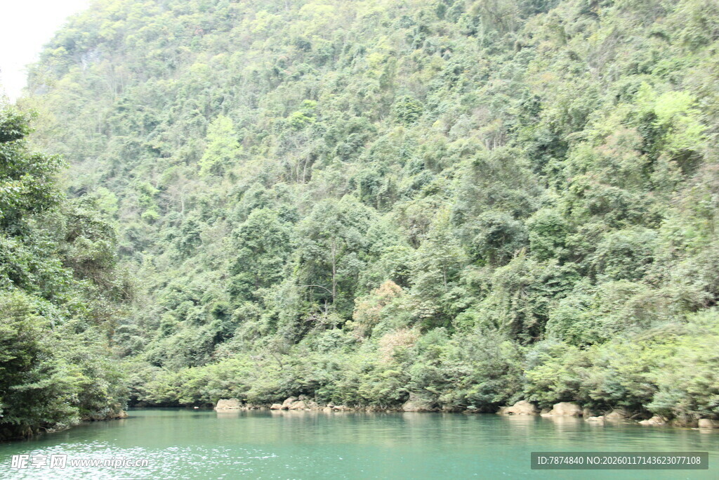 青山绿水间的宁静河流