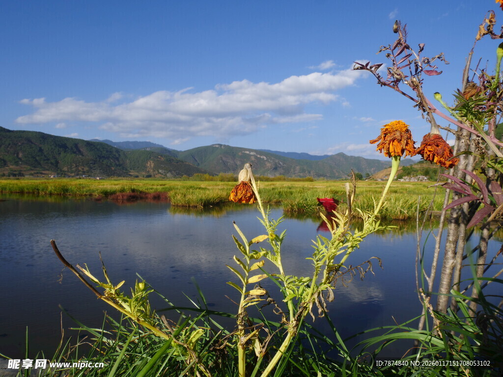 湖畔花草与远山美景