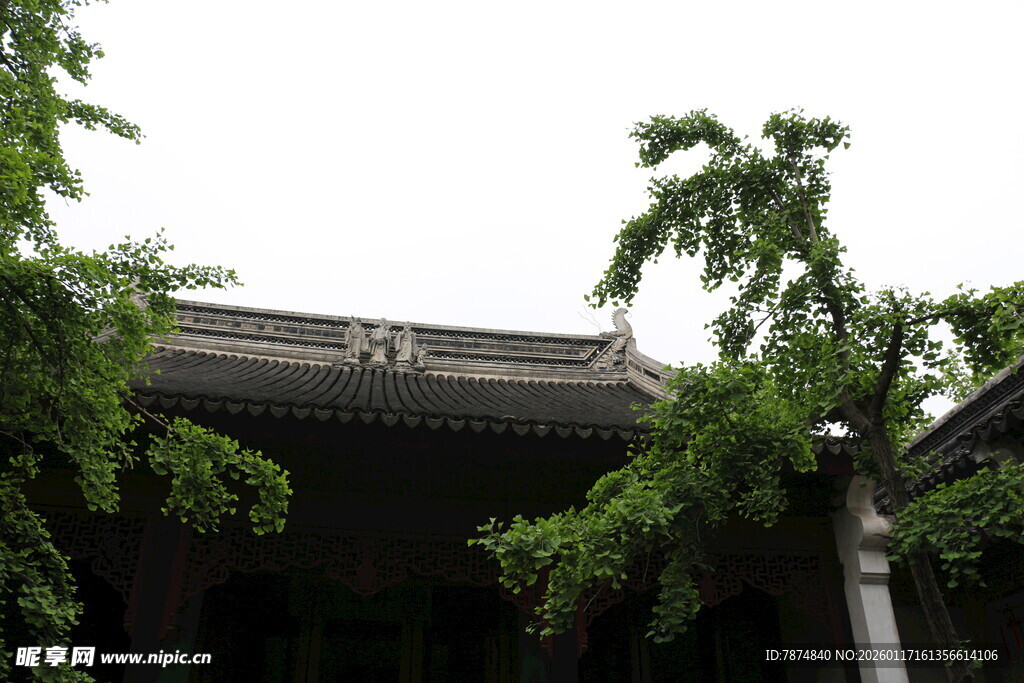 中式古建筑 绿树环绕