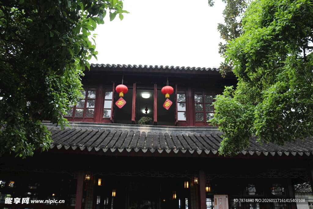中式古建 绿树环绕灯笼悬