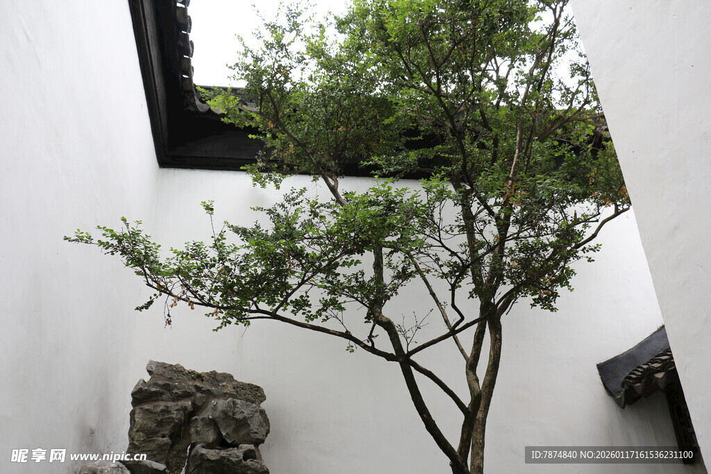 中式庭院绿植与石景
