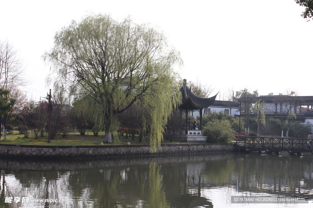 湖畔垂柳与中式建筑景观