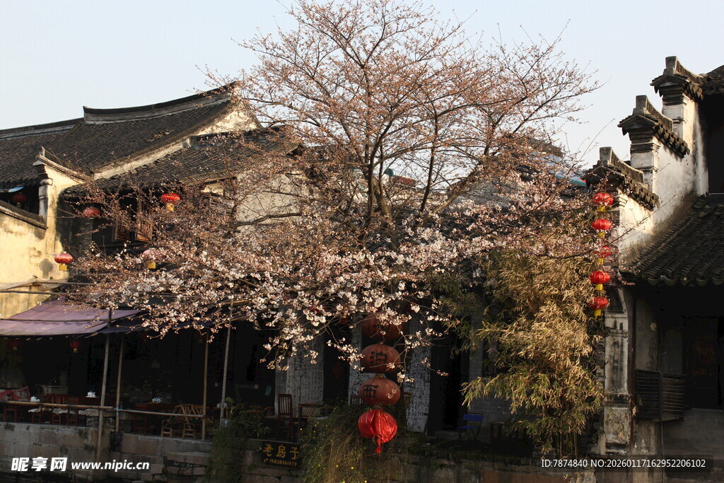 古巷繁花映中式建筑