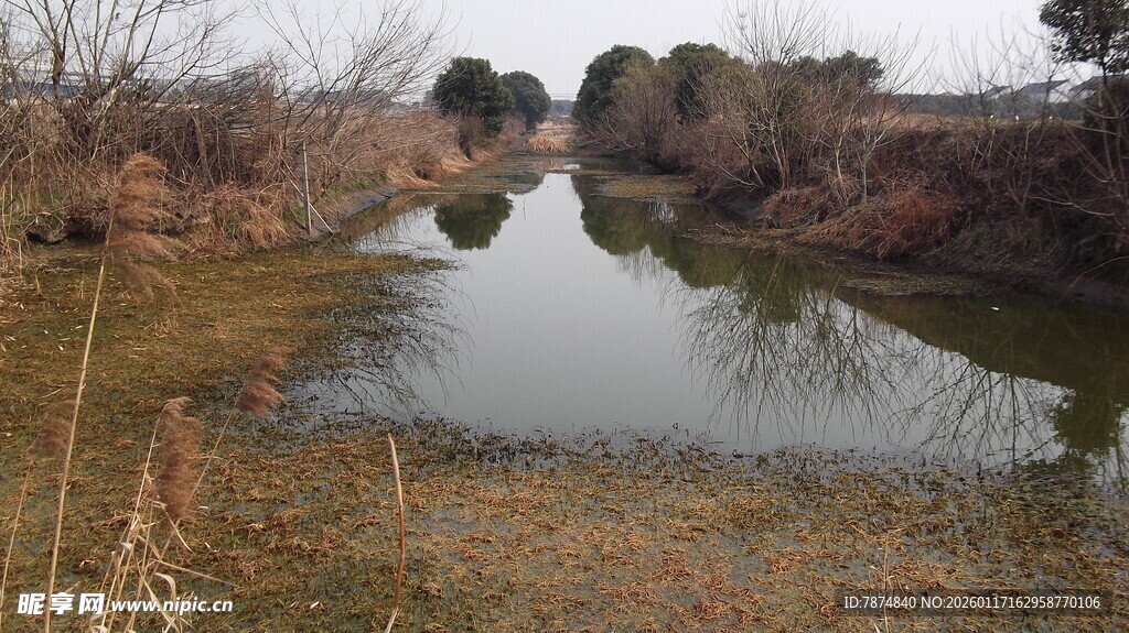 冬日乡村静谧小河景色