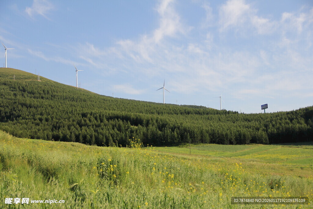 广袤绿野与葱郁山林美景