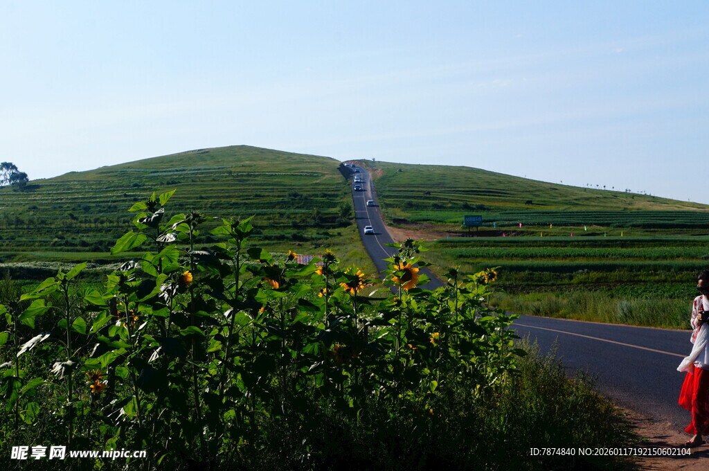 公路旁绿意盎然的风景