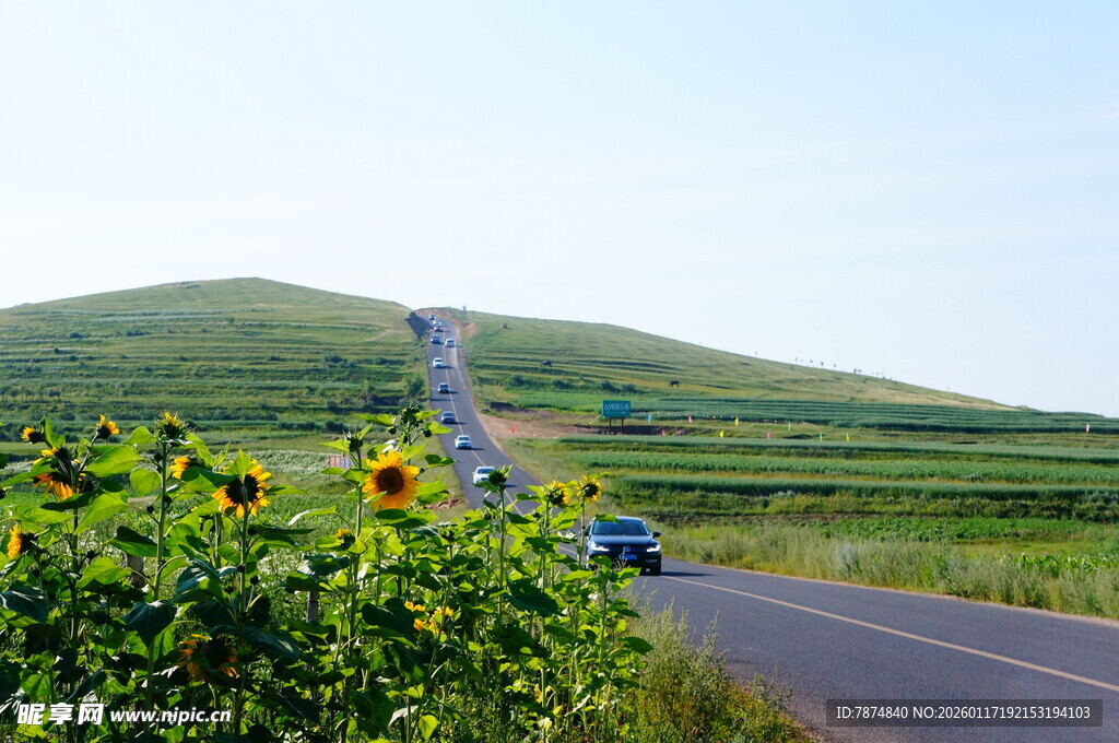 公路旁向日葵与远山风景