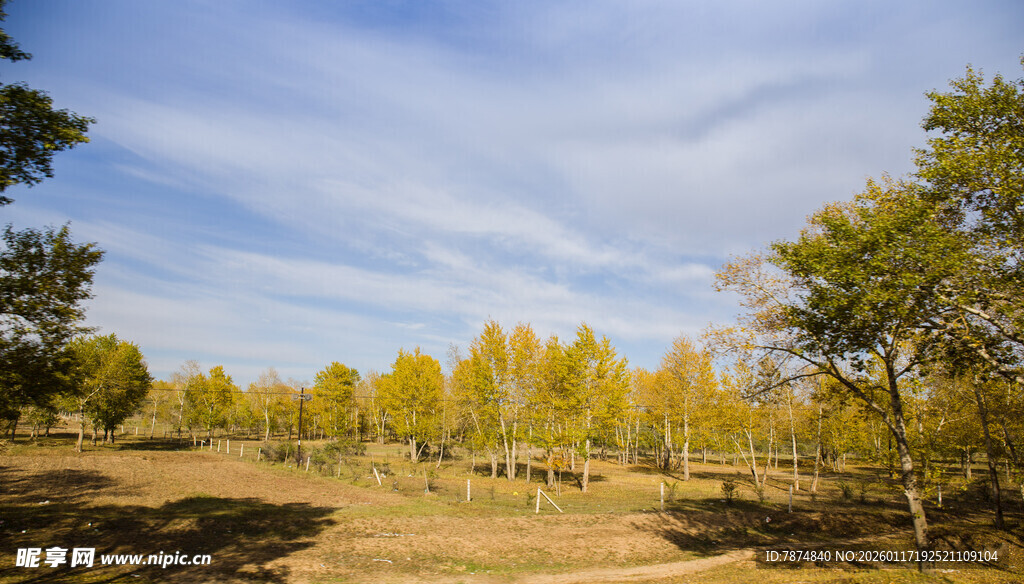 秋日旷野树林美景