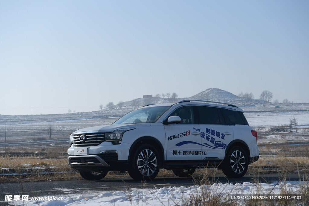 雪地中停放的蓝白花纹SUV