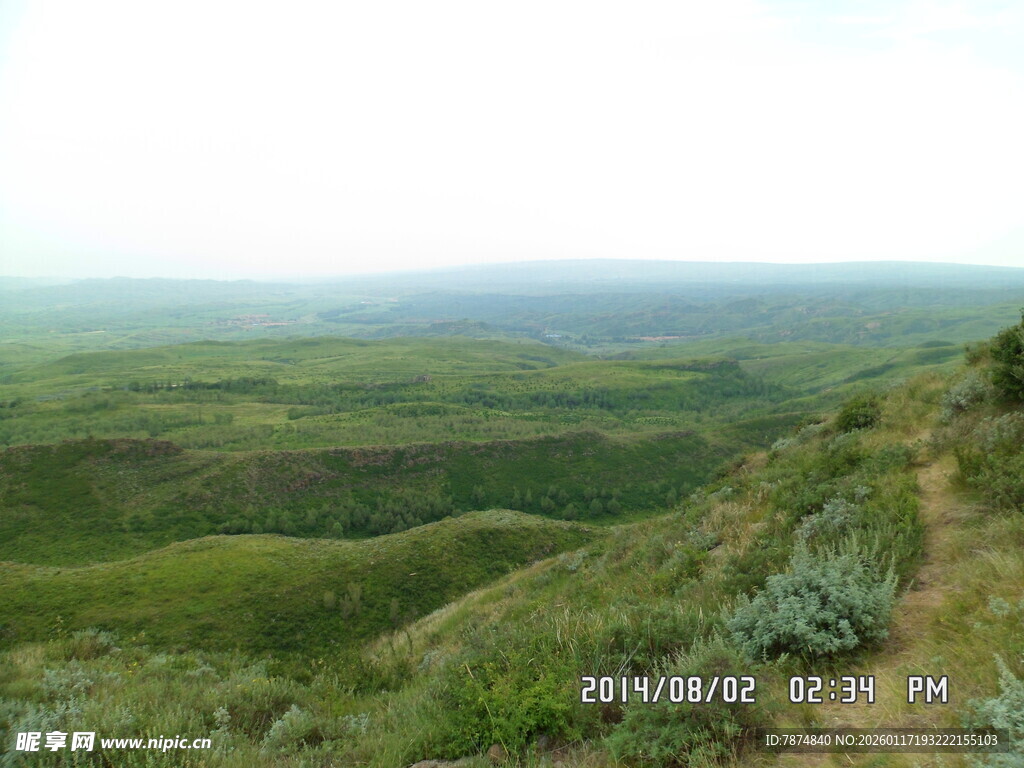 广袤绿野山丘景观