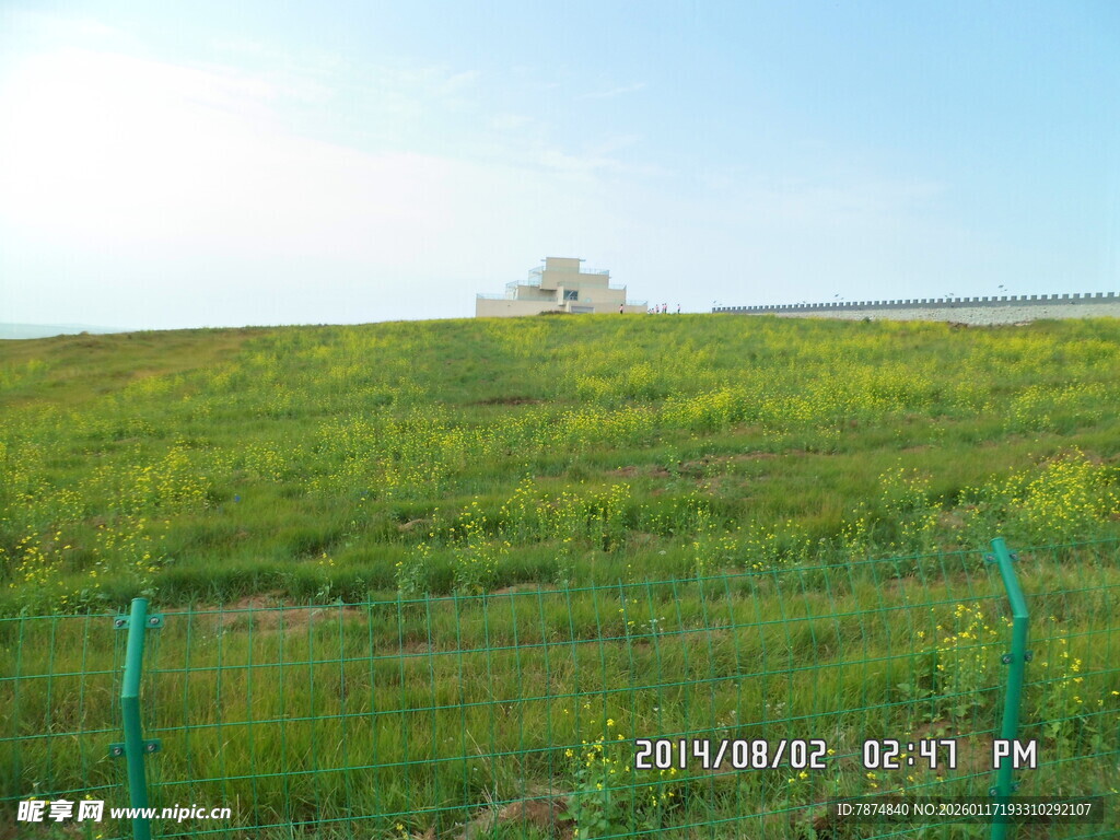 绿色草原风光