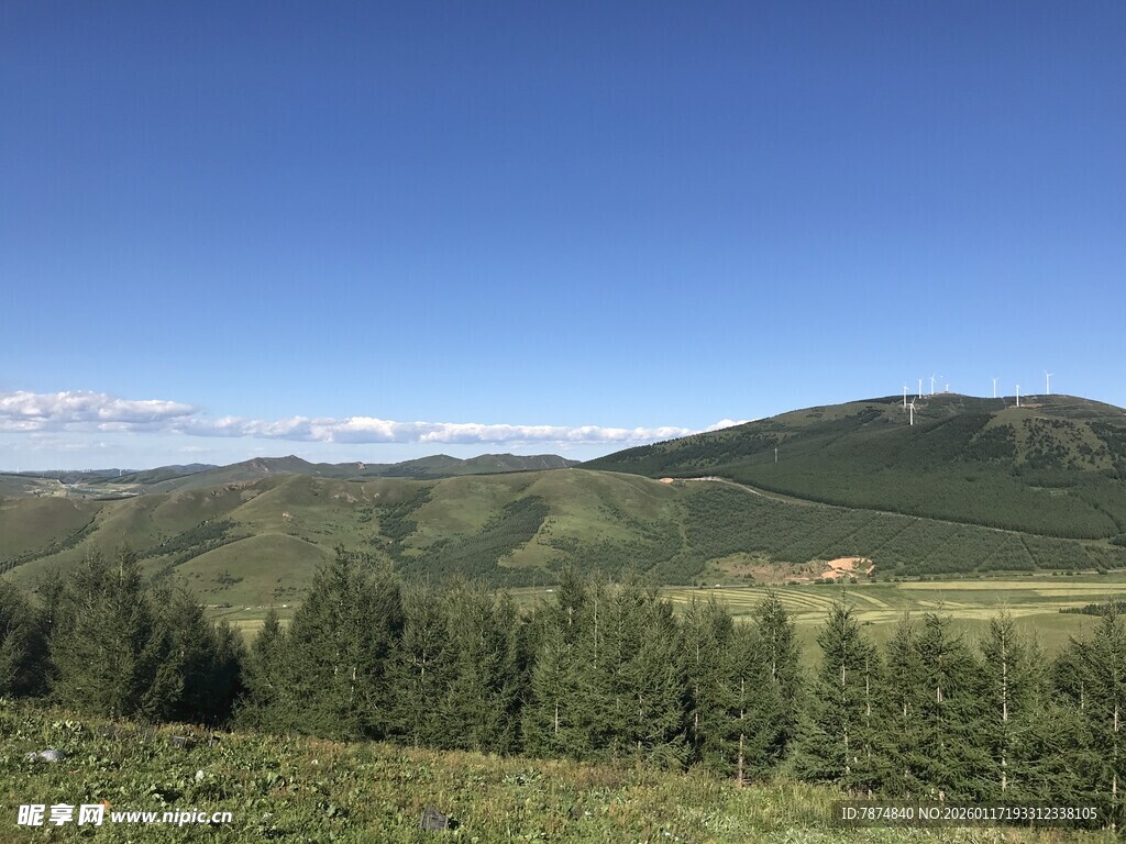青山绿树间的开阔美景