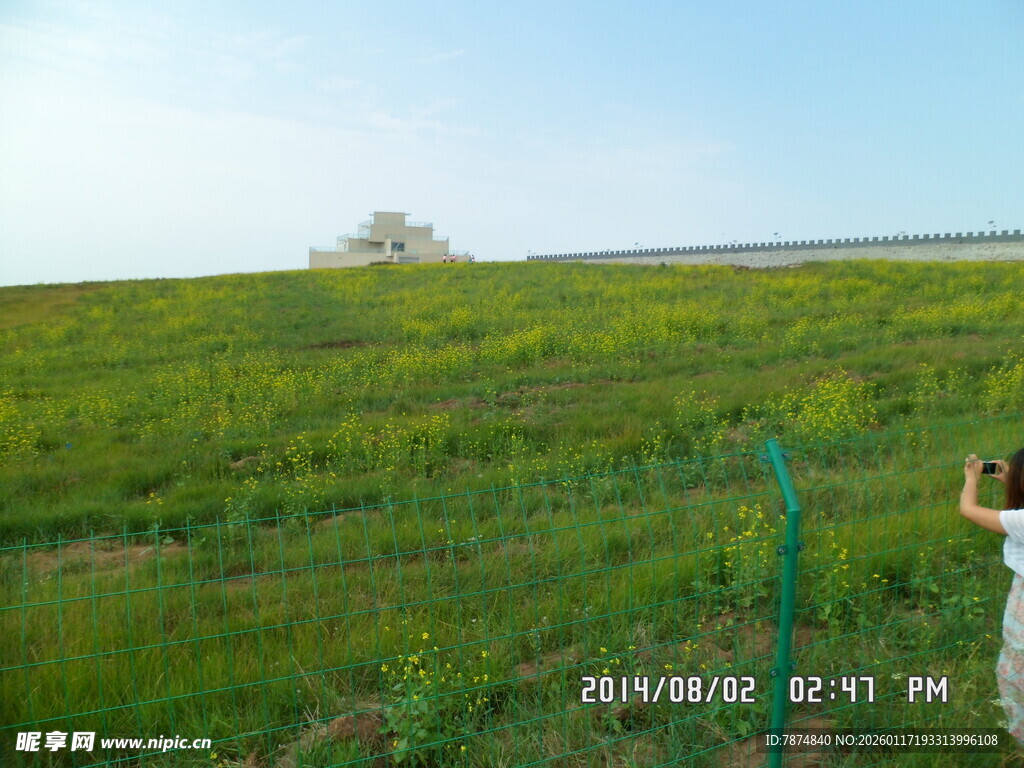 草原风光 一人驻足赏景
