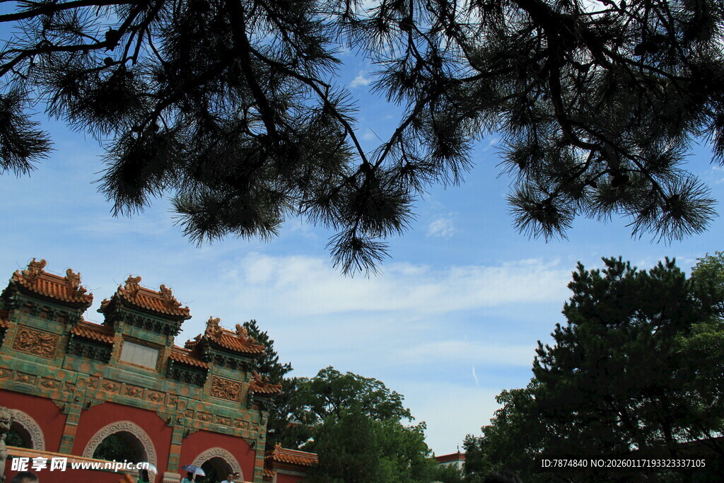 中式建筑与枝头景致