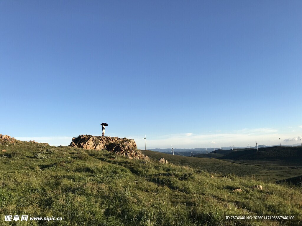 山丘上的孤树与开阔风景