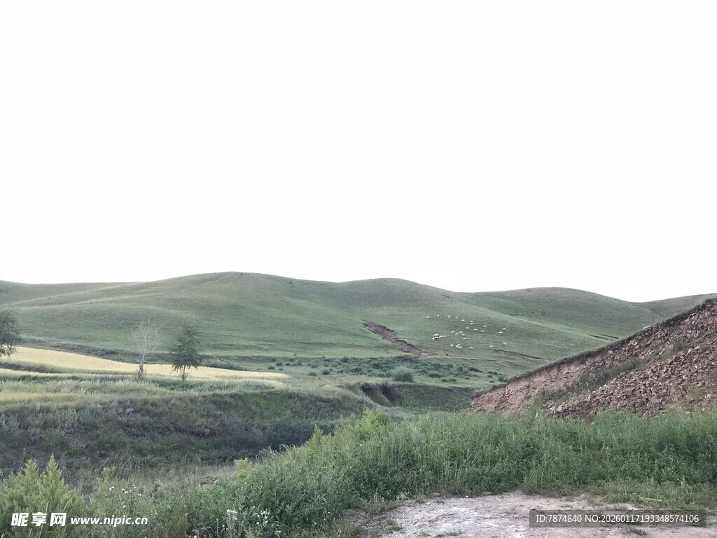 乡村田野风景