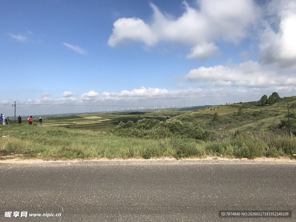 公路旁的开阔绿野风景