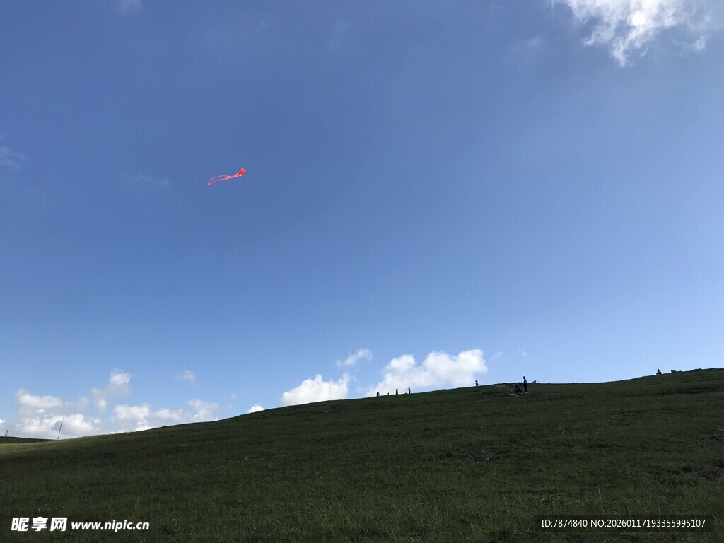 蓝天绿地间的开阔景致