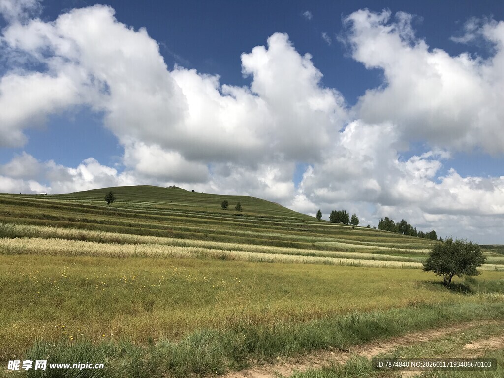 广袤田野蓝天白云美景