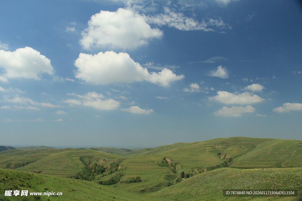 广袤绿野上的蓝天白云