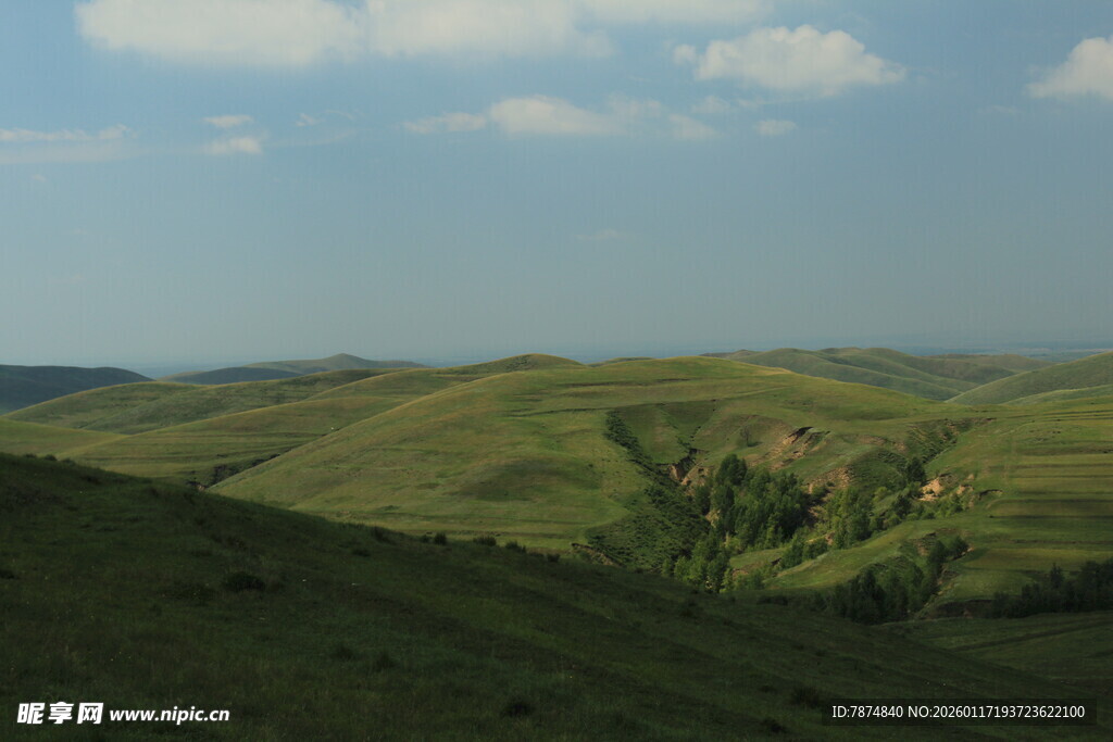 广袤绿野山丘风景