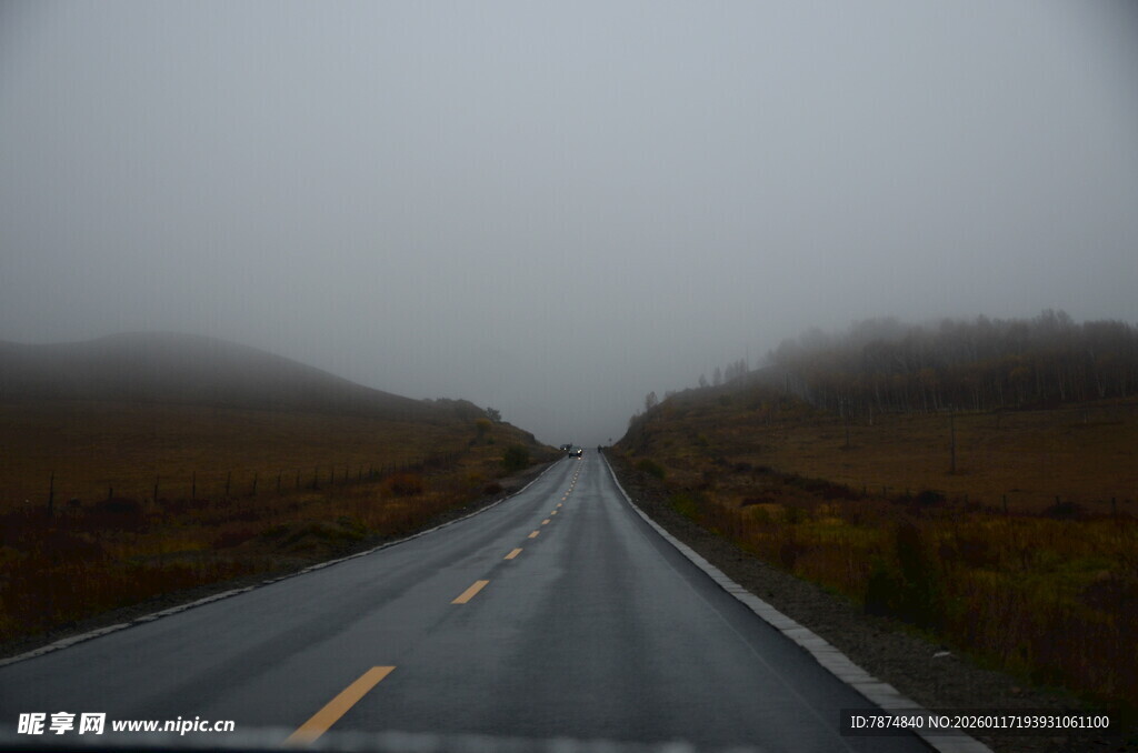 雾中公路 前路朦胧