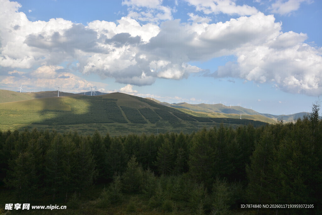 山林云海美景