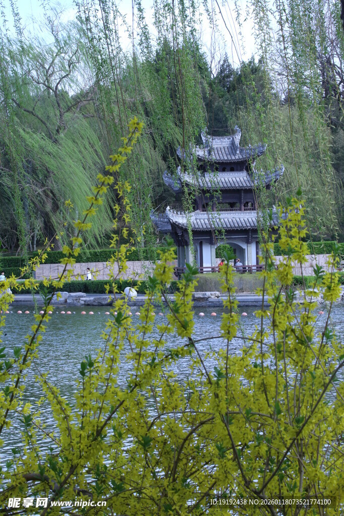 公园风景 