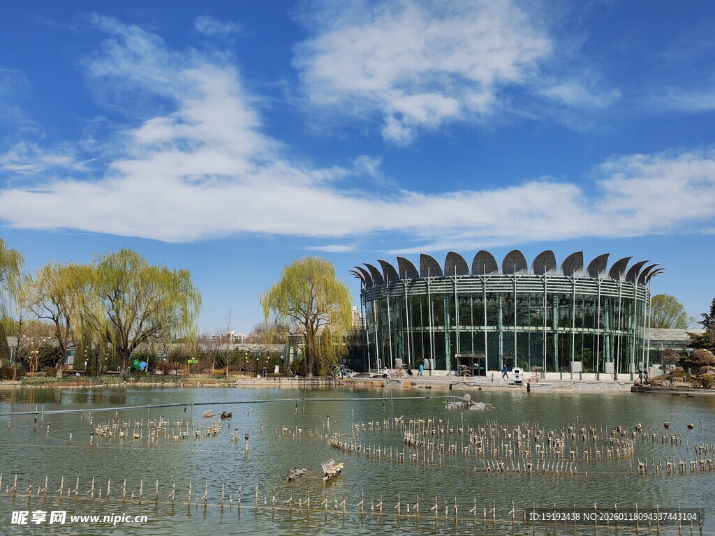 公园风景 