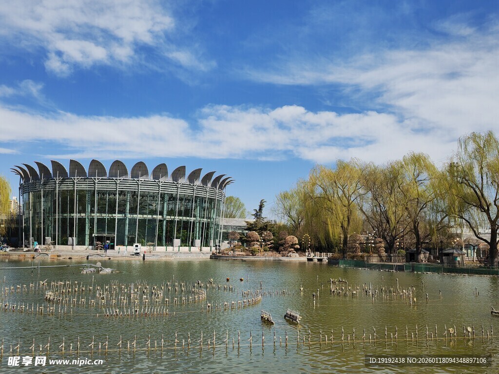 公园风景 
