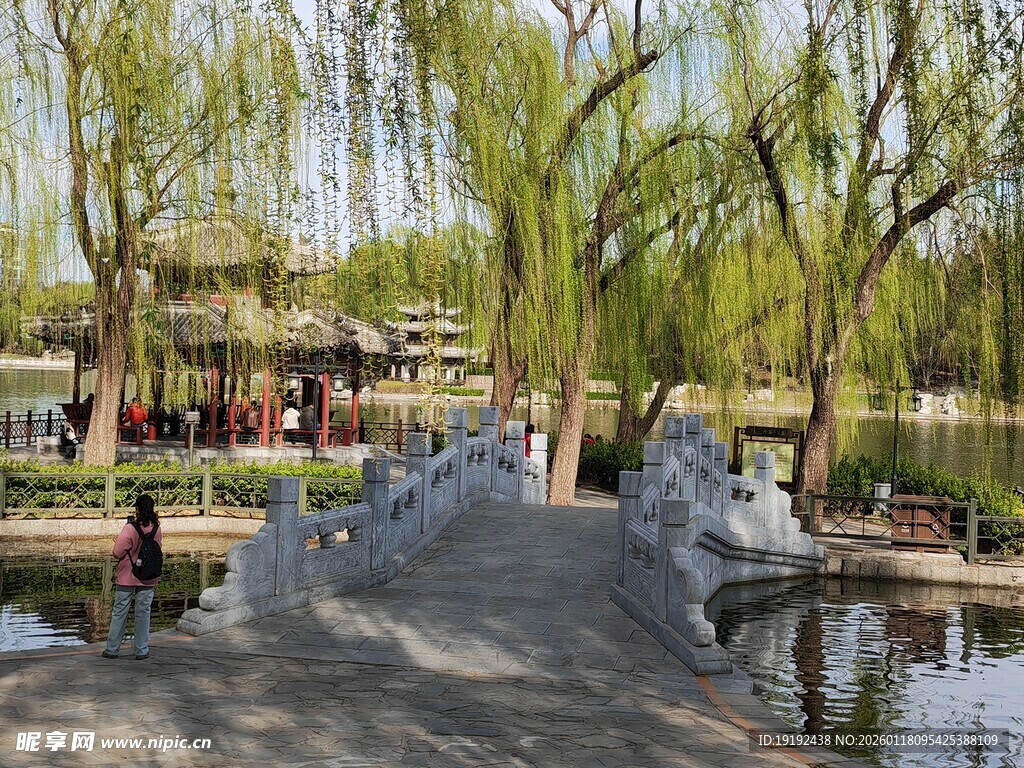 公园风景 
