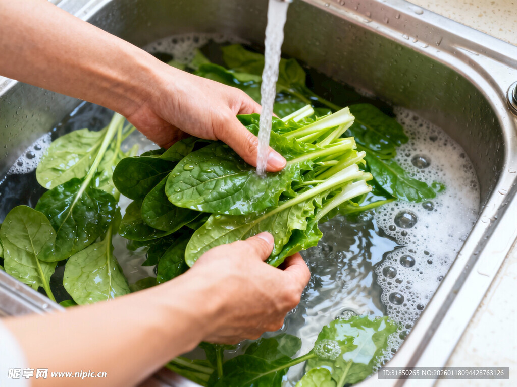 双手清洗新鲜蔬菜