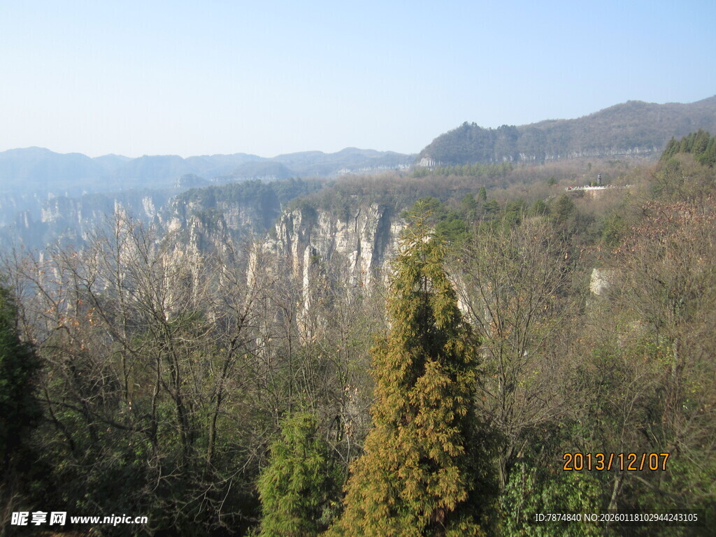山林景观 挺拔树木与远山