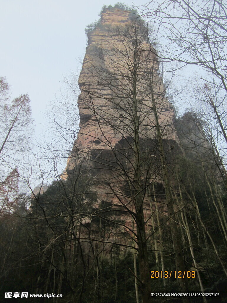张家界奇峰屹立于林间