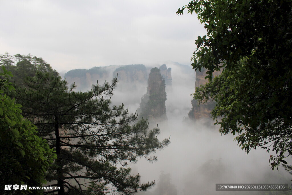 云雾缭绕的山间奇景