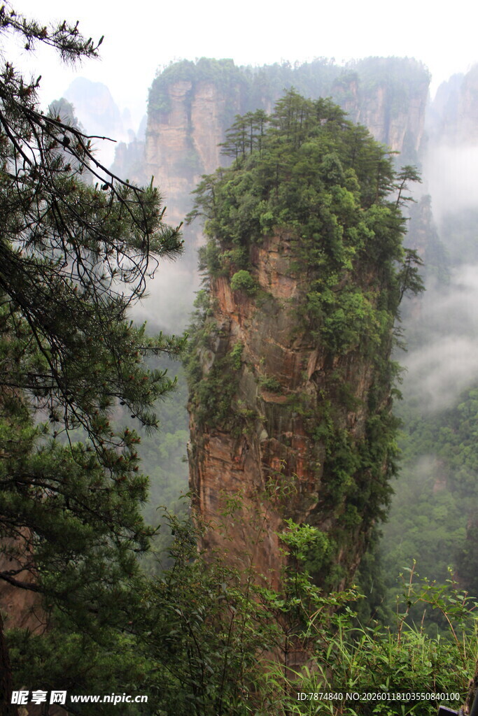 张家界奇峰美景
