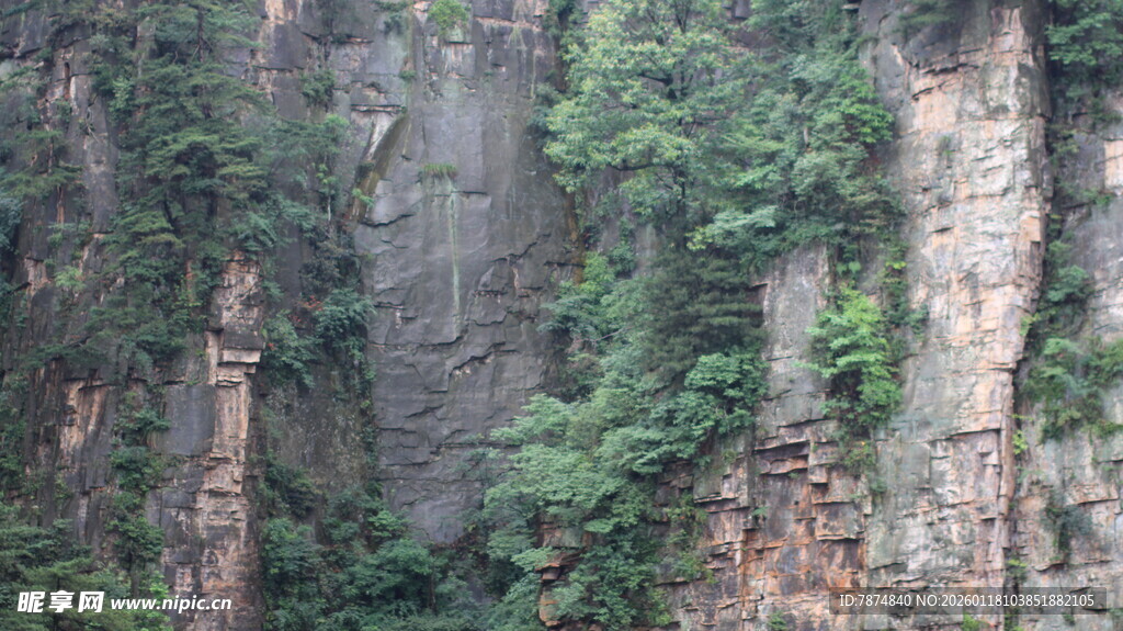 陡峭山壁覆绿植
