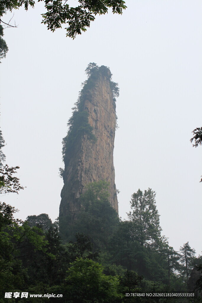 孤峰耸立山林间
