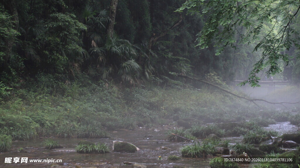 山林间的氤氲雾气景象