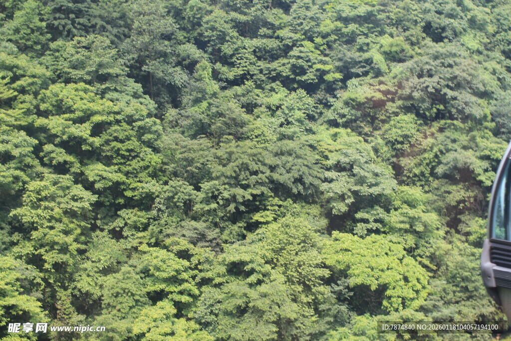 山林缆车景观