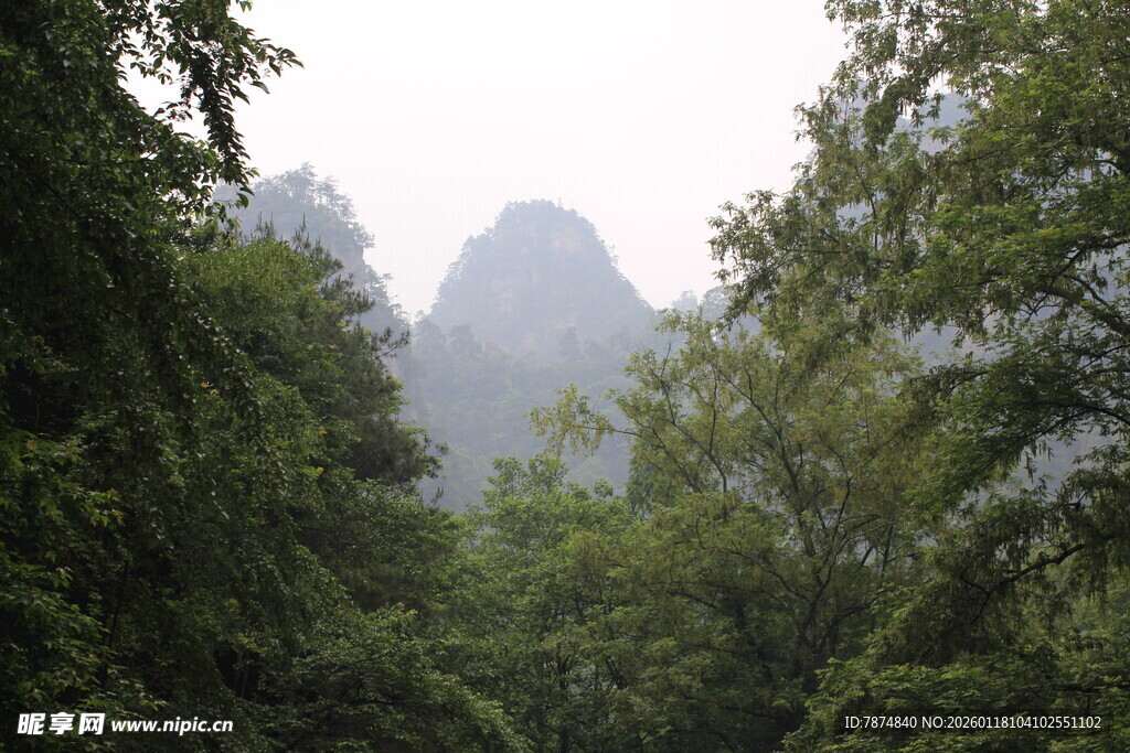山林间的朦胧奇峰