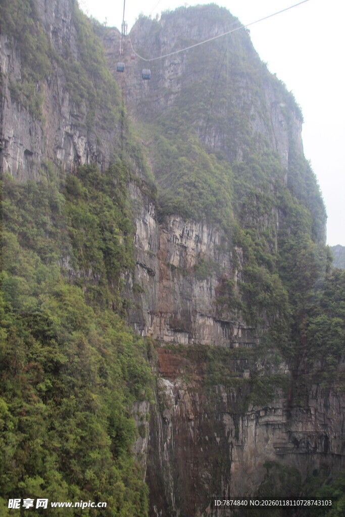 险峻山峦覆绿植景观