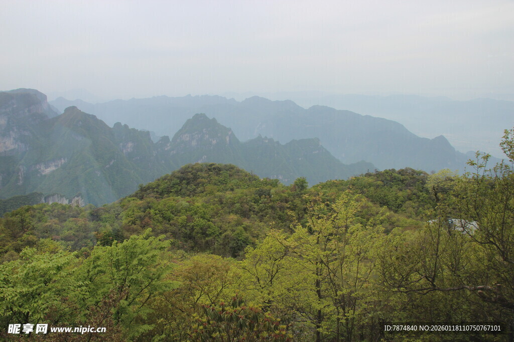 山峦绿意浓景