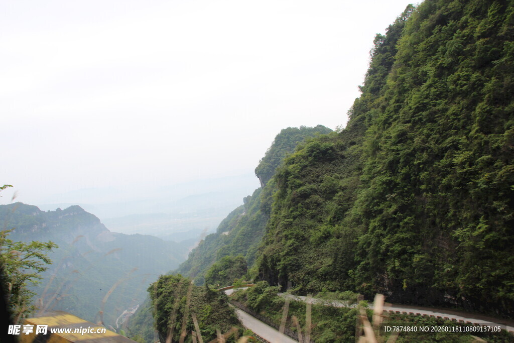 山间栈道 绿意盎然的景致