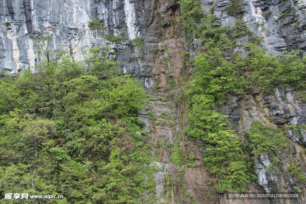 山间峭壁绿植覆盖景象